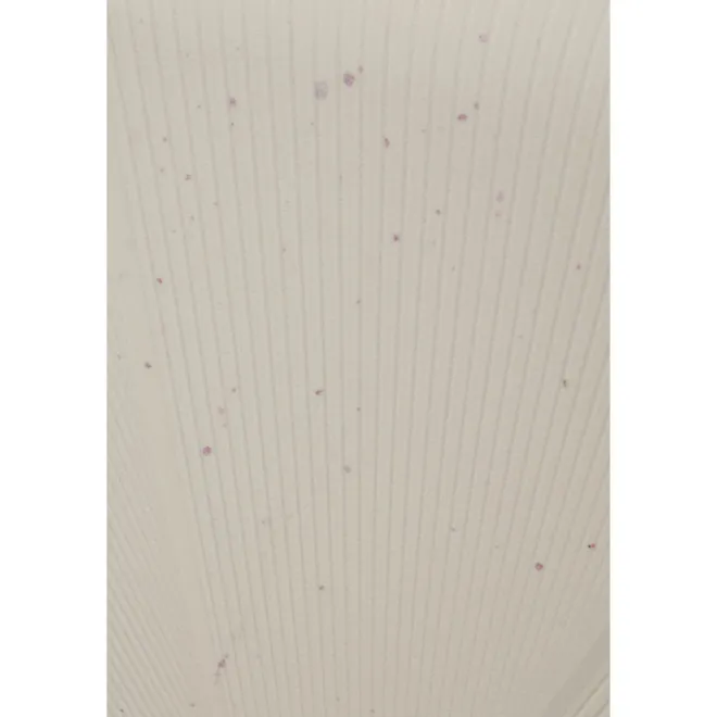 Outlet American Tourister Starvibe Spinner 67/24 Expandable TSA Ltd cream speckles