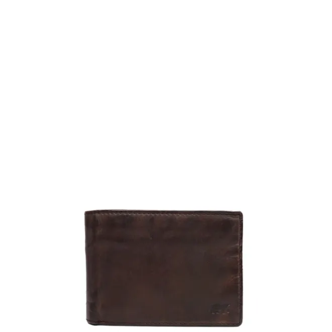 Bear Design Joep Billfold brown