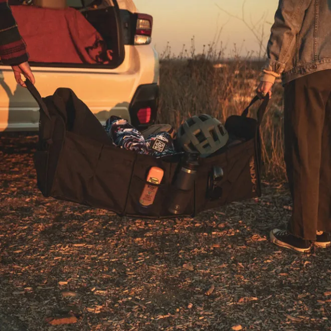 New Dakine Gear Organizer black