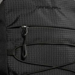Daniel Ray Chicago Hiking Backpack grey