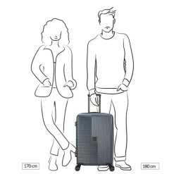 New Decent Tourister Medium Trolley 66 taupe