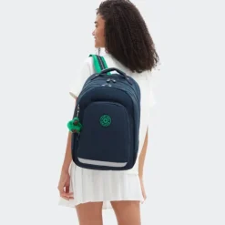 Online Kipling Class Room pink palm