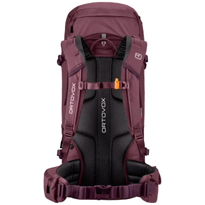Hot Ortovox Peak 35 Backpack winetasting