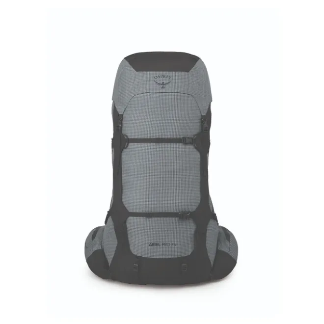 Clearance Osprey Ariel Pro 75 WXS/WS silver lining