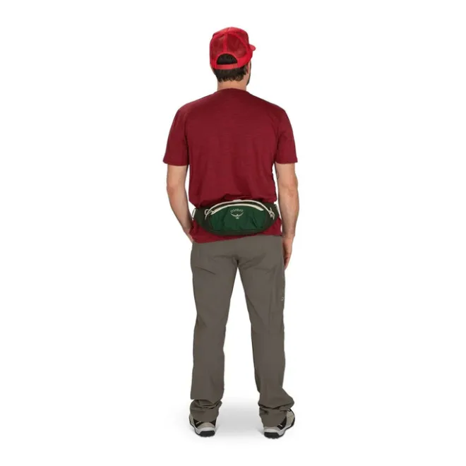 Best Osprey Daylite Waist night shift