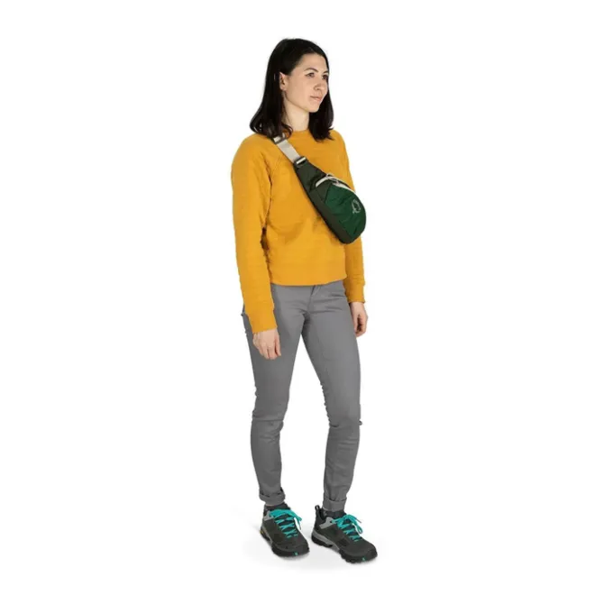 Best Osprey Daylite Waist night shift