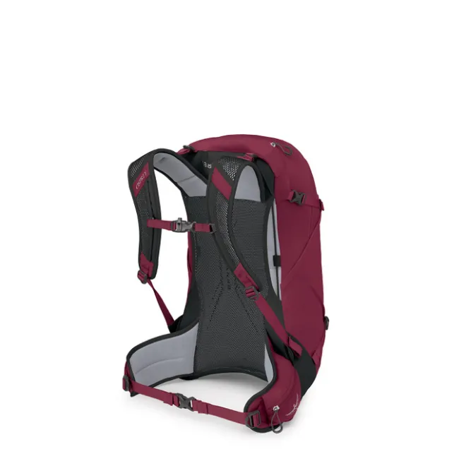 Discount Osprey Hikelite 28 M-L chameleon-black