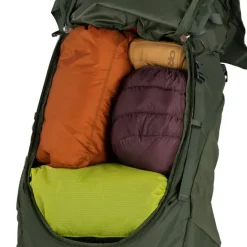 Best Osprey Kestrel 58 L/XL bonsai green