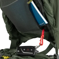 Best Osprey Kestrel 58 L/XL bonsai green