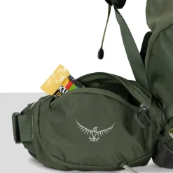 Best Osprey Kestrel 58 L/XL bonsai green