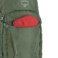 Best Osprey Kestrel 58 L/XL bonsai green