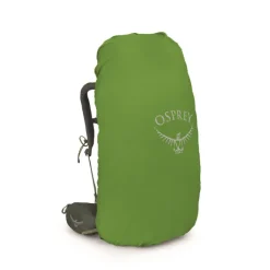 Best Osprey Kestrel 58 L/XL bonsai green