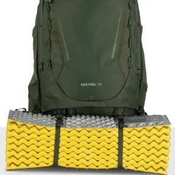 Discount Osprey Kestrel 58 S/M bonsai green