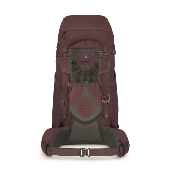 Online Osprey Kyte 68 WM/L elderberry purple