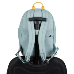 Best Pacsafe Go 15L Backpack Anti-Theft fresh mint