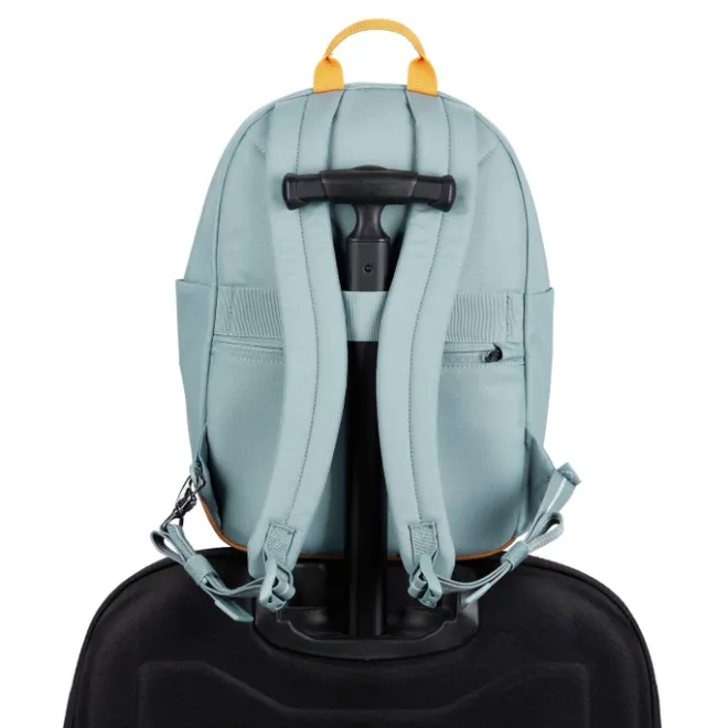 Best Pacsafe Go 15L Backpack Anti-Theft fresh mint