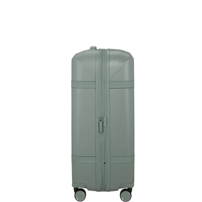 Hot Samsonite Image Spinner 69/25 Expandable thyme
