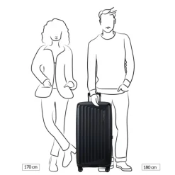 Outlet Samsonite Nuon Trunk 80/30 matt silver