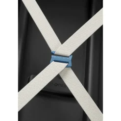 Online Samsonite S'Cure Spinner 55 black
