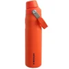 Online Stanley The Aerolight IceFlow Water Bottle Fast Flow 0.6L tigerlily plum