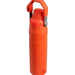 Online Stanley The Aerolight IceFlow Water Bottle Fast Flow 0.6L tigerlily plum