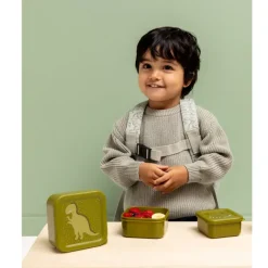 Discount Trixie Mr. Dino Snackbox 3pc green
