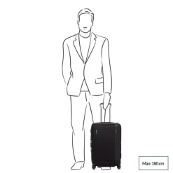 Sale Tumi Arrivé International Dual Access 4 Wheels black